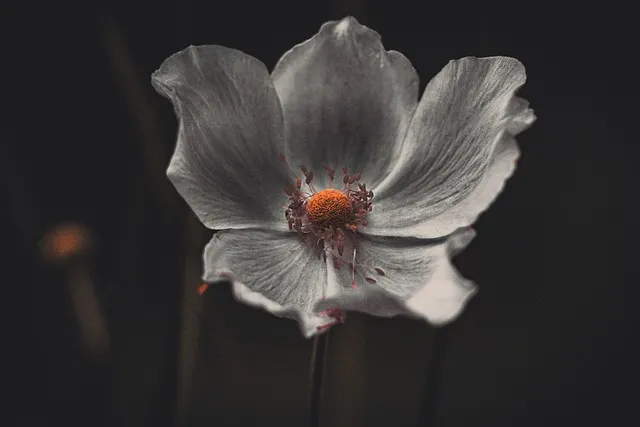 영화 가을의 전설 Legends of the Fall OST 중 James Horner The Ludlows 듣기MV로 소개_1