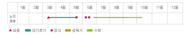 고구마 파종 및 재배 기간