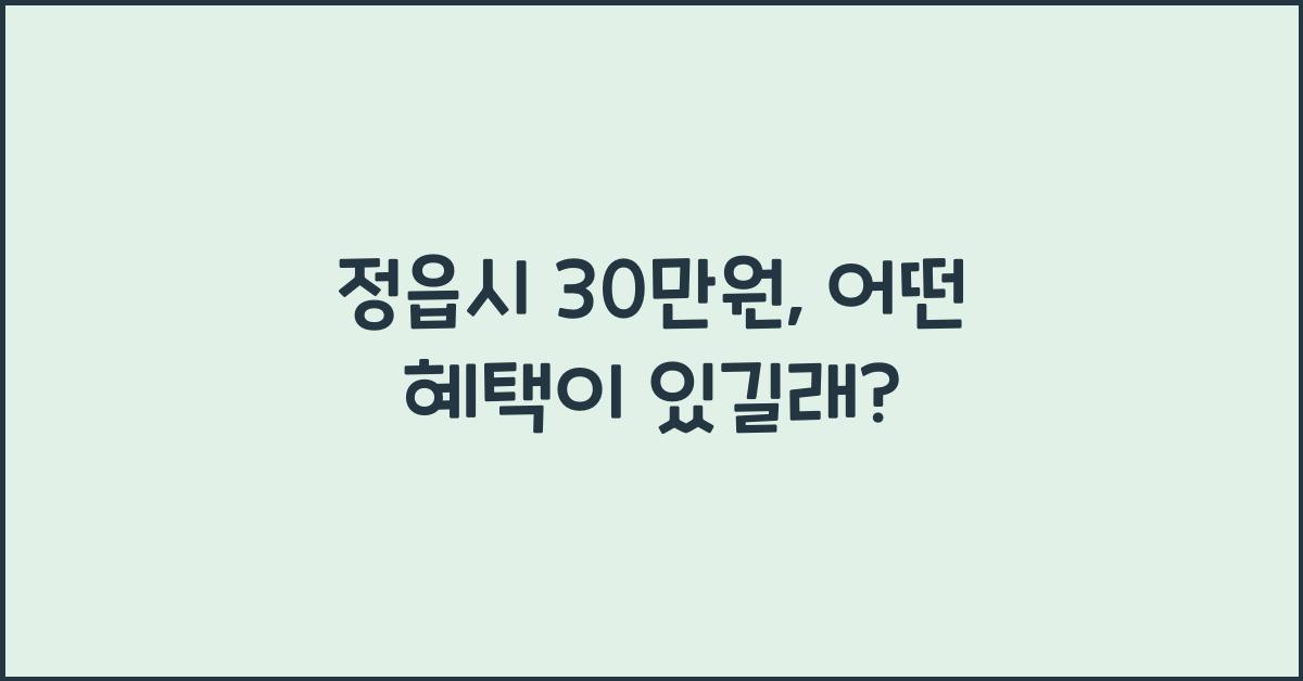 정읍시 30만원