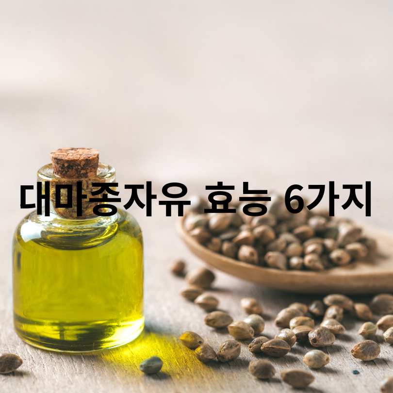 대마종자유 먹는 법과 효능&amp;#44; 부작용