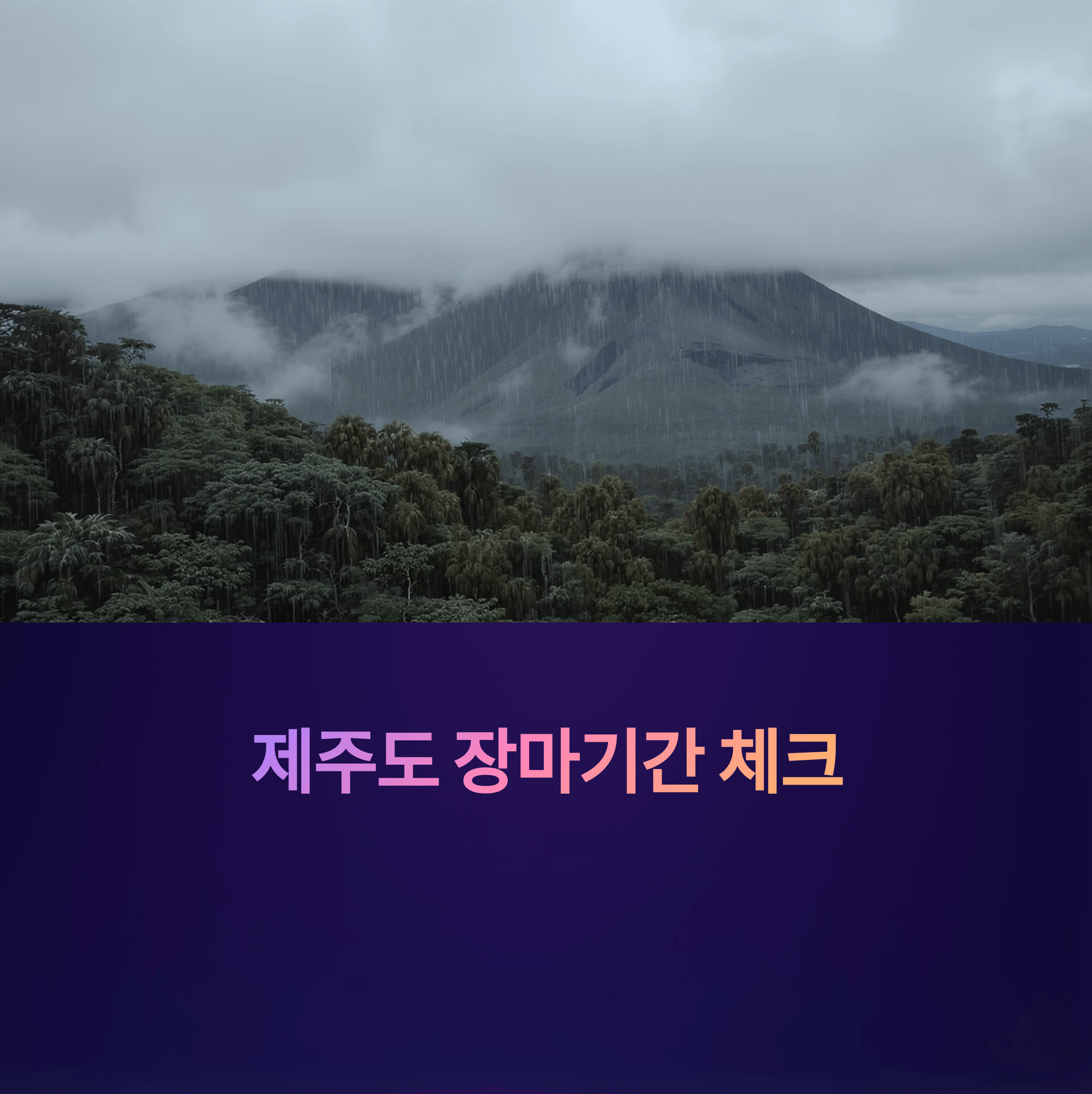 제주도 장마기간 체크! 2025 대비 가이드