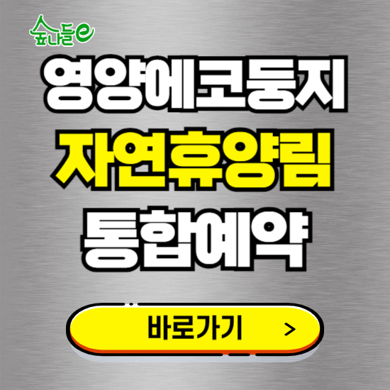 영양에코둥지 자연휴양림 온라인 예약하기 ❘ 숙소 야영장 캠핑장 실시간 예약 현황 보기 ❘ 경북 영양군