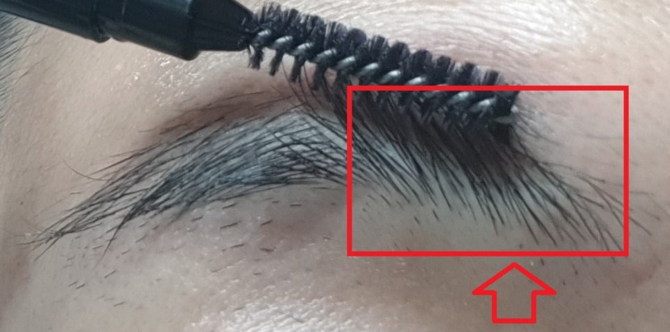 남자 아이브로우