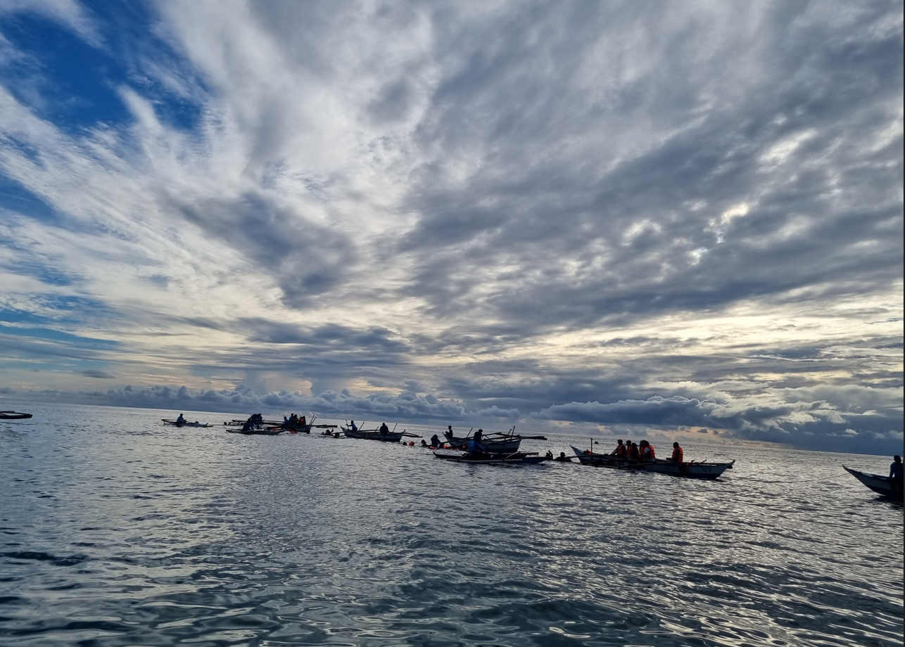 필리핀세부 고래상어
