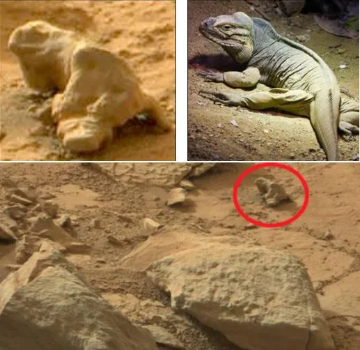 화성에서 생명체 발견 NASA 발표 정리_6