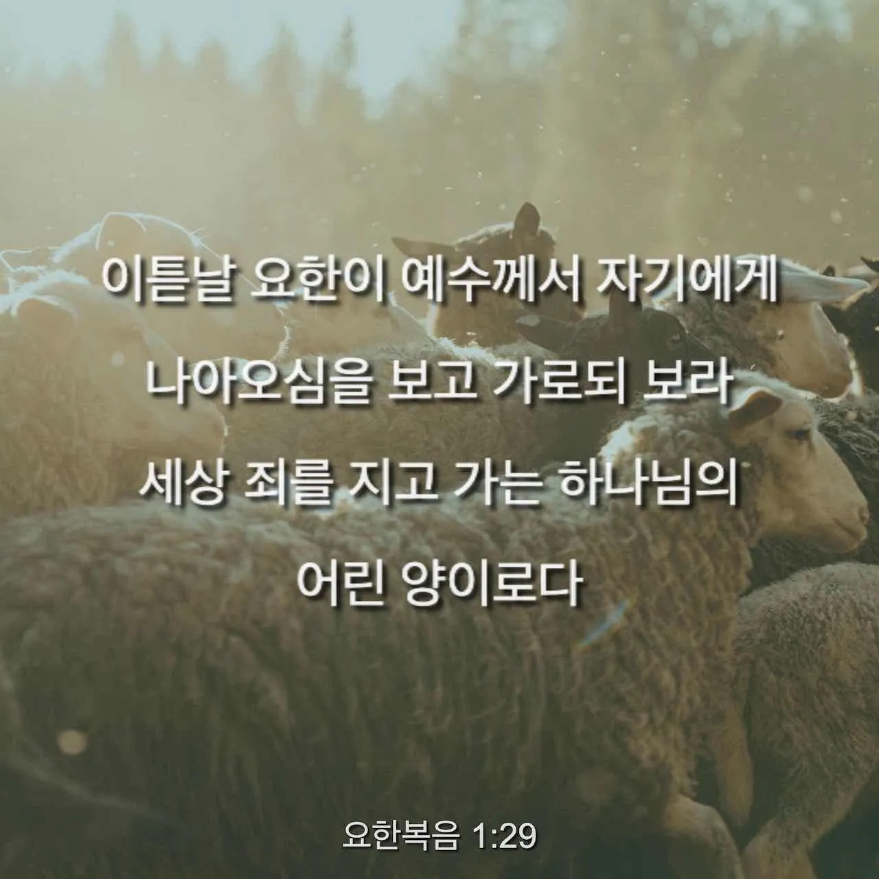 요한복음 5장 24절 성경말씀 - 내 말을 듣고 또 나 보내신 이를 믿는 자는 영생을 얻었고_3