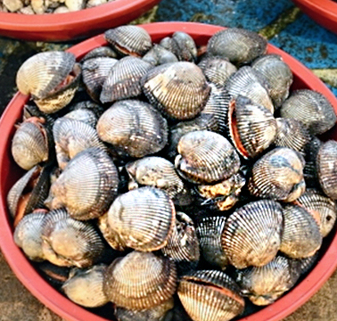 여수 맛집 이미지 입니다.