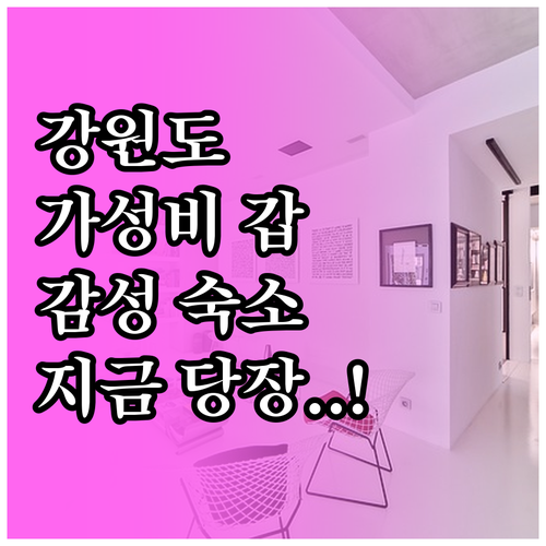 강원도 가성비 감성 숙소 베스트 5 ..