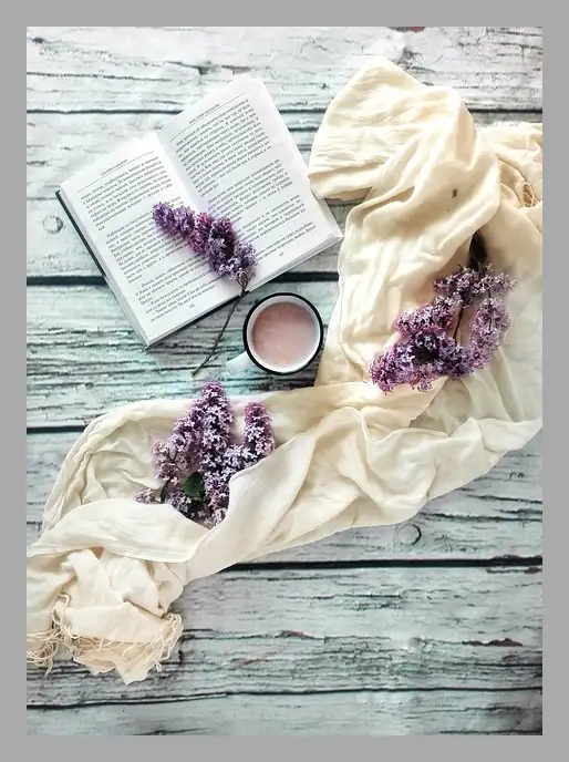 한강 채식주의자