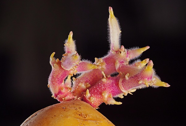 냉장고 냄새는 왜 반복될까? 환경균 관점에서 보는 위생 구조
