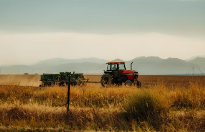 귀농에 대하여 알아보기