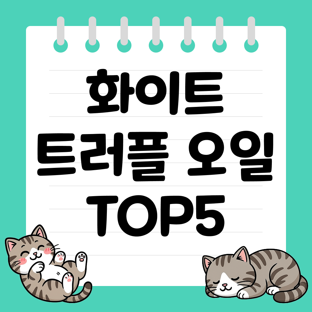 한 방울로 풍미가 달라지는 화이트 트러플 오일 추천 순위 TOP5