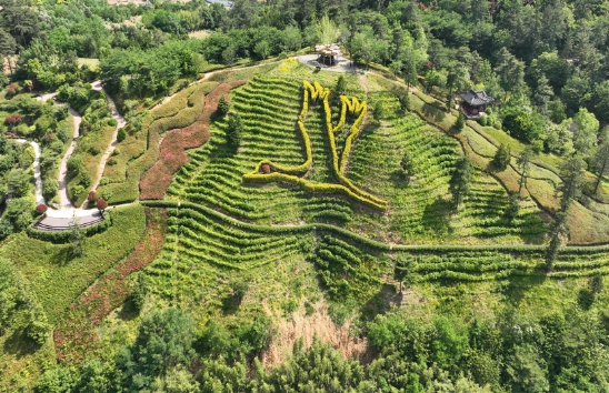 순천만국제정원박람회