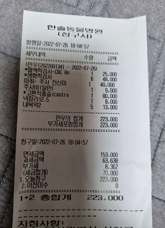 한솔동물병원