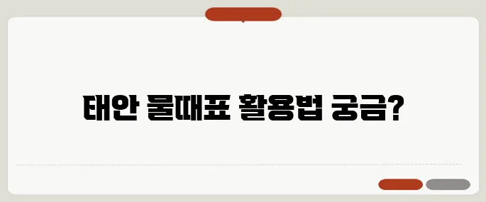 태안 물때표 방법 가장 많이 찾는 정보