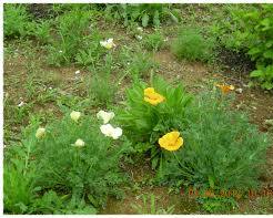 금영화 이미지 사진