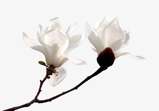 아이폰 배경화면 고화질