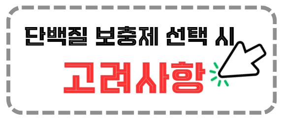 단백질 보충제 선택 시 고려사항