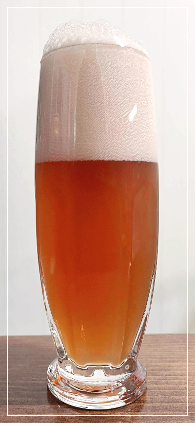 프랑스 맥주 크로넨버그 1664로제