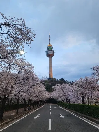 대구 가볼만한곳 베스트10 근대골목 수성못 노포맛집 여유 코스_7