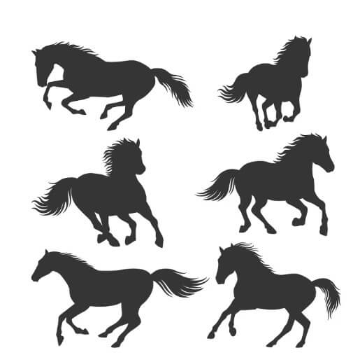 2026년은 병오년 말띠의 해