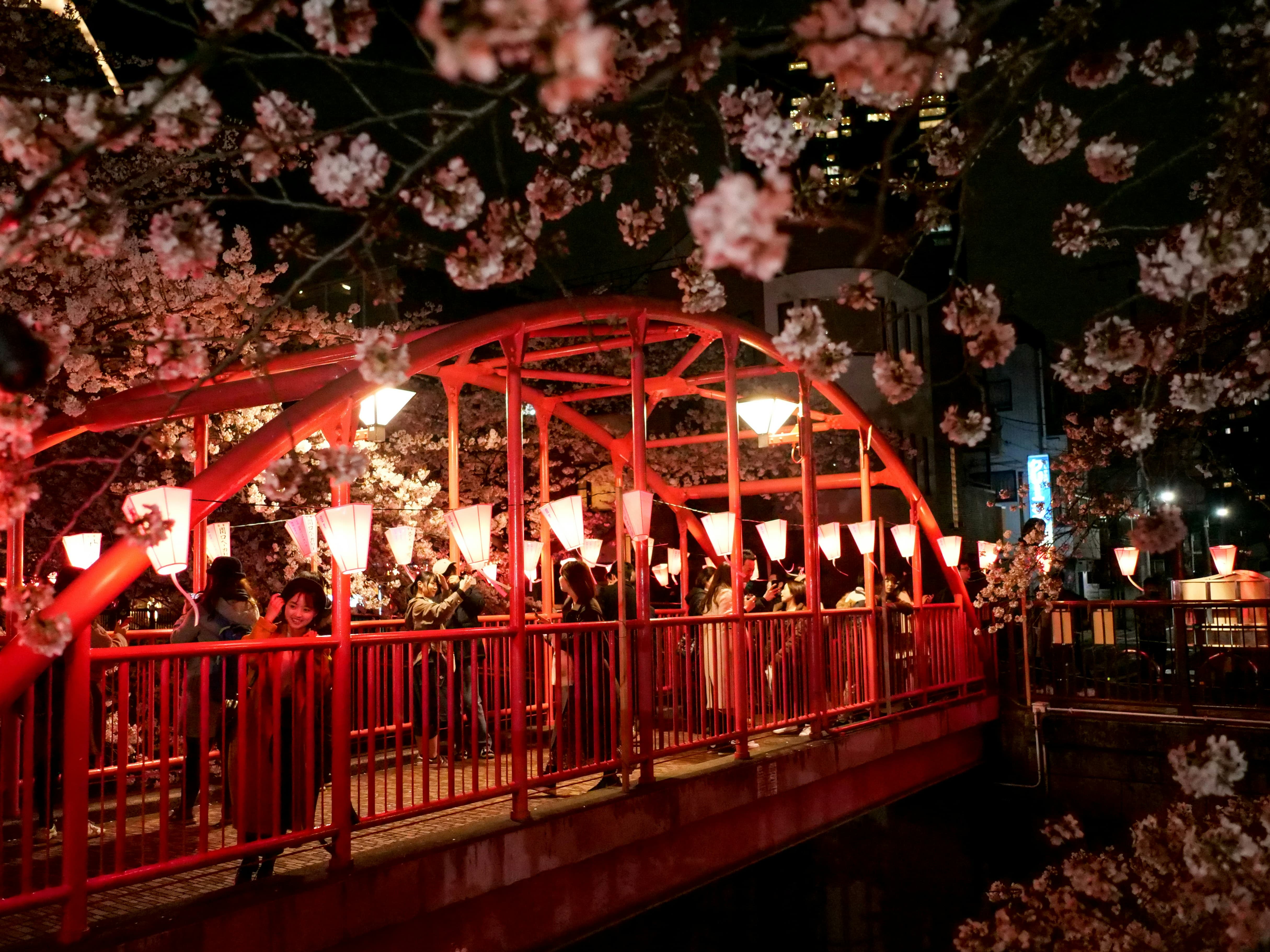 2026년 전국 봄 축제 일정 봄 여행 코스 총정리