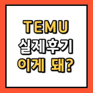 TEMU 후기 썸네일