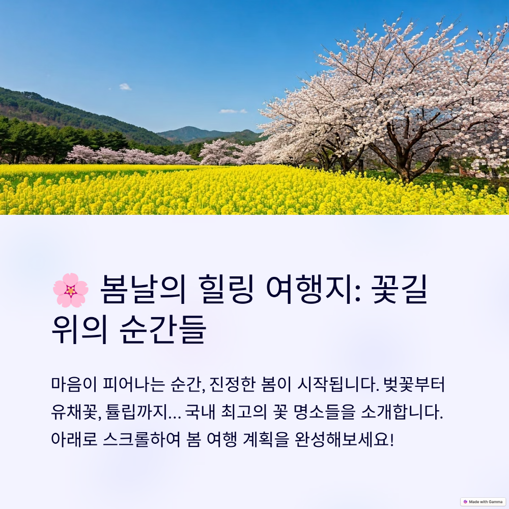 봄꽃이 만개한 풍경