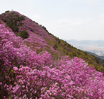 여수 가볼만한곳