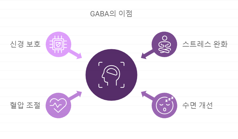 감마 아미노뷰티릭산 효능