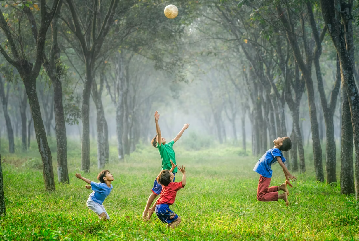 아이들 숲 속에서 공놀이 하며 신나는 모습