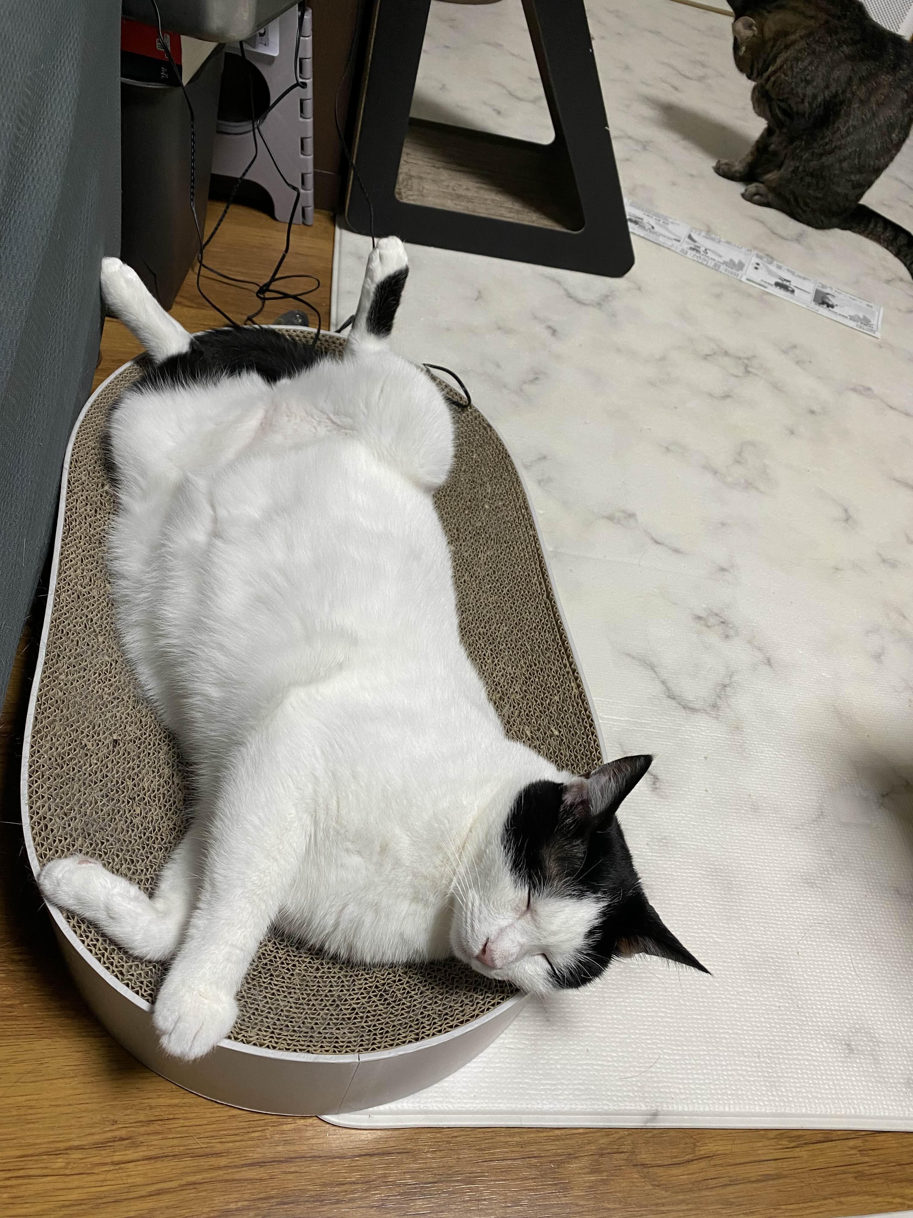 alt 태그