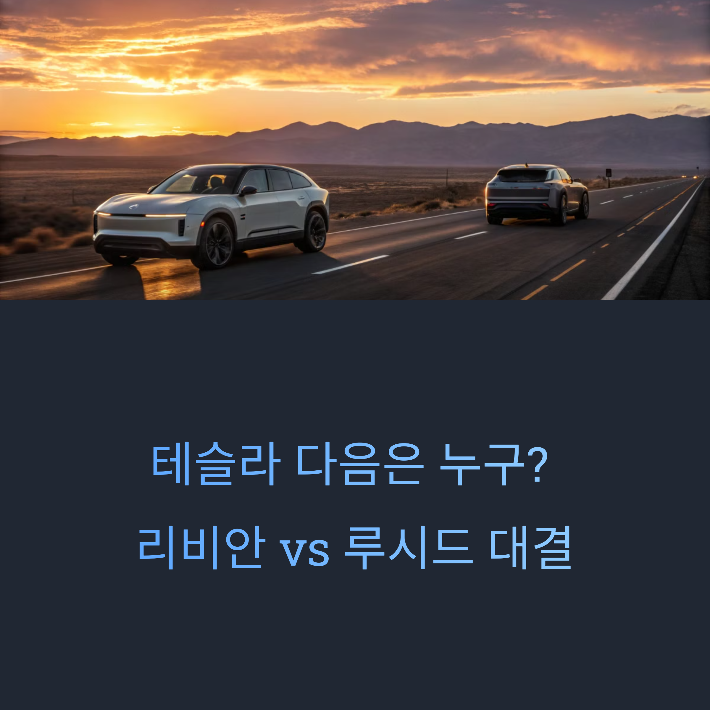 리비안 vs 루시드