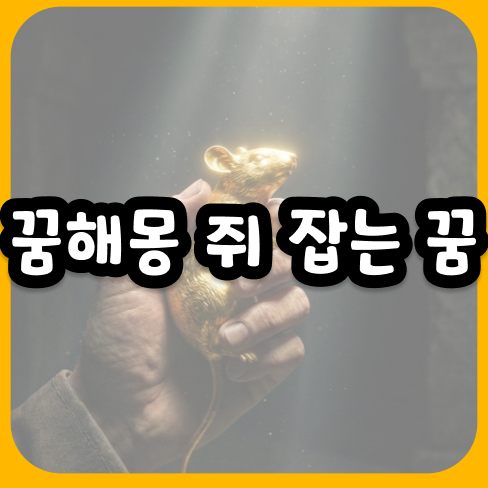 꿈해몽 쥐 잡는 꿈 재물운이 터지는 확실한 전조 현상일까