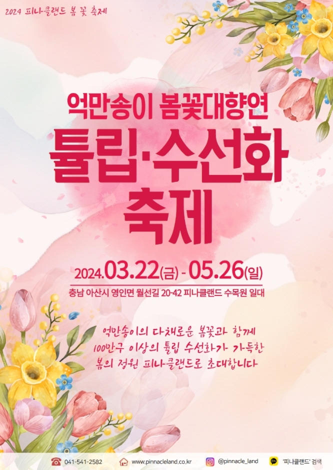 아산 억만송이 봄꽃대향연 튤립 수선화 축제