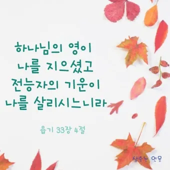 다시 일어설 힘을 주는 성경 구절 10선_18