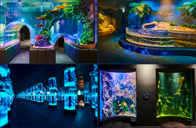 광교 아쿠아플라넷