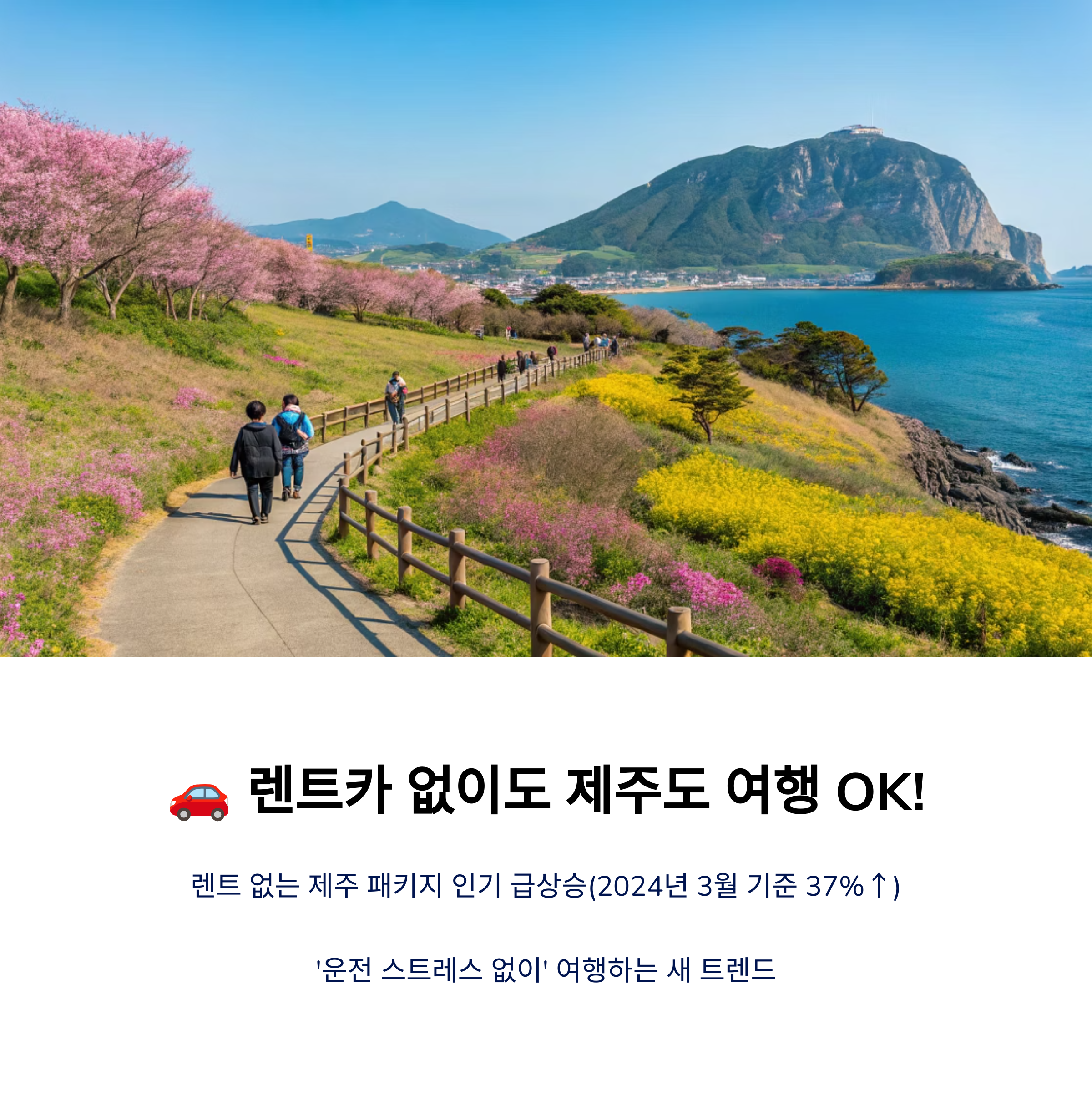 제주도 여행 사진