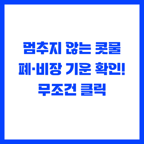 콧물 멈추지 않는 이유 폐와 비장 기..
