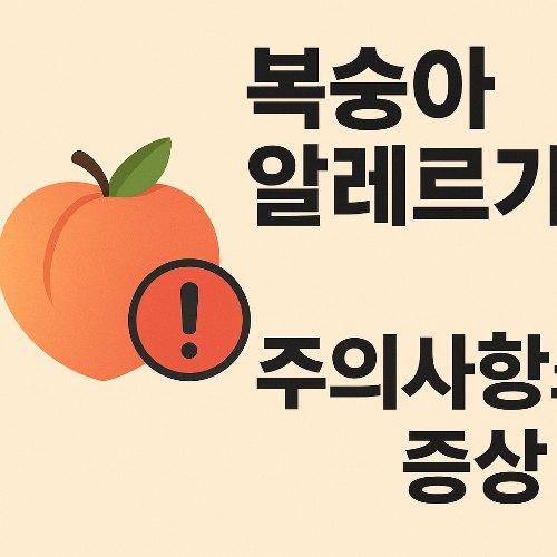 Alt 속성 문제 해결 설명 이미지