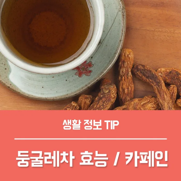 둥글레차 효과 건강에 좋은 차 효능 정리_5