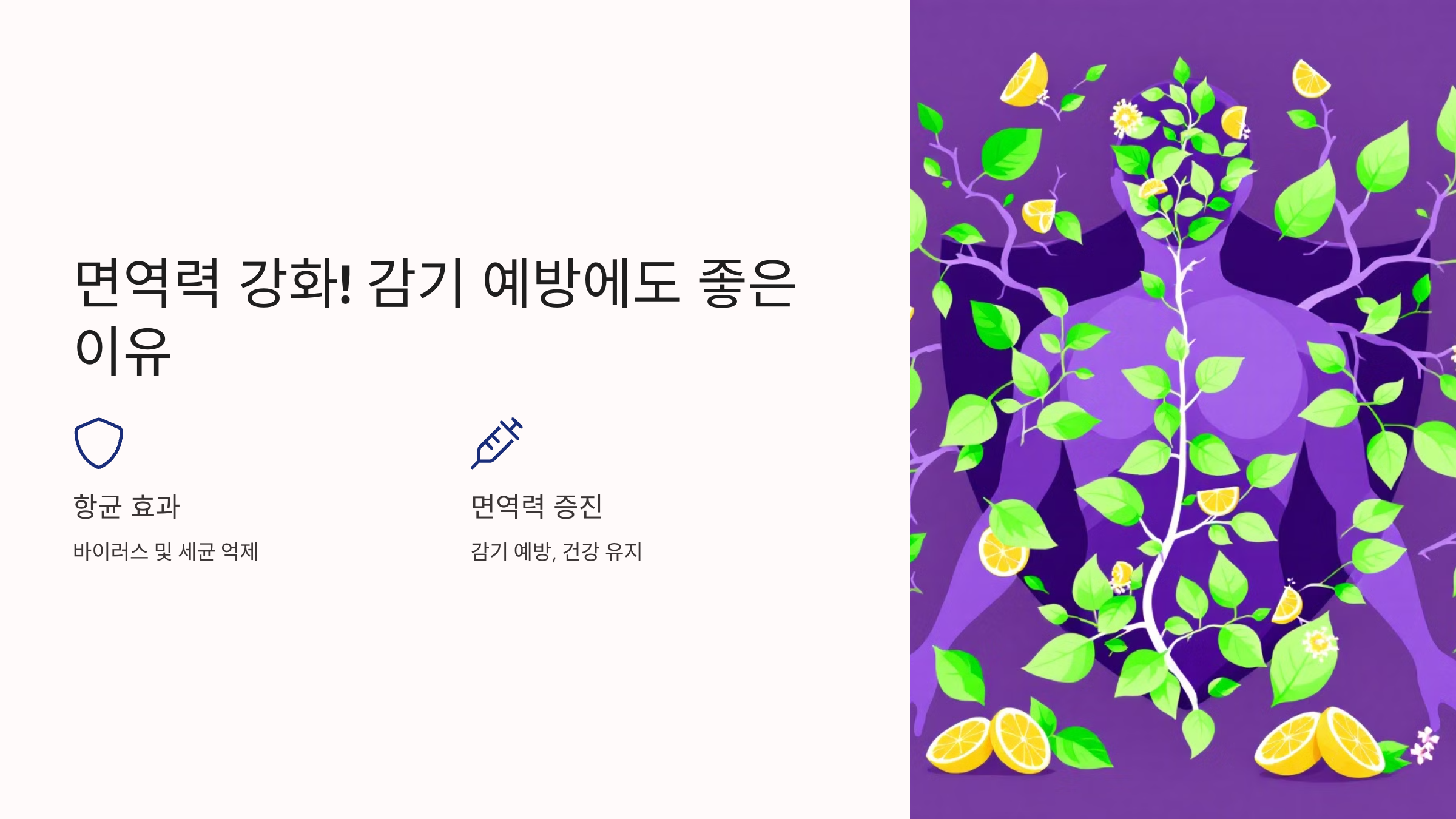 면역력 강화! 감기 예방에도 좋은 이유