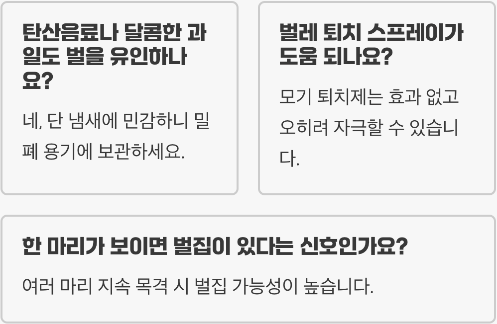 장수말벌 예방법, 등산, 벌초, 캠핑 전 꼭 알아야 할 꿀팁