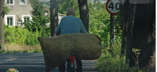 성공 뒤에 가려진 실패담
