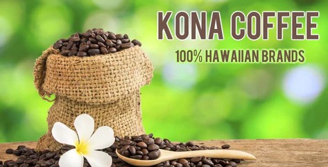[커피비교] 세계에서 가장 비싼 커피 - 하와이안 코나 커피