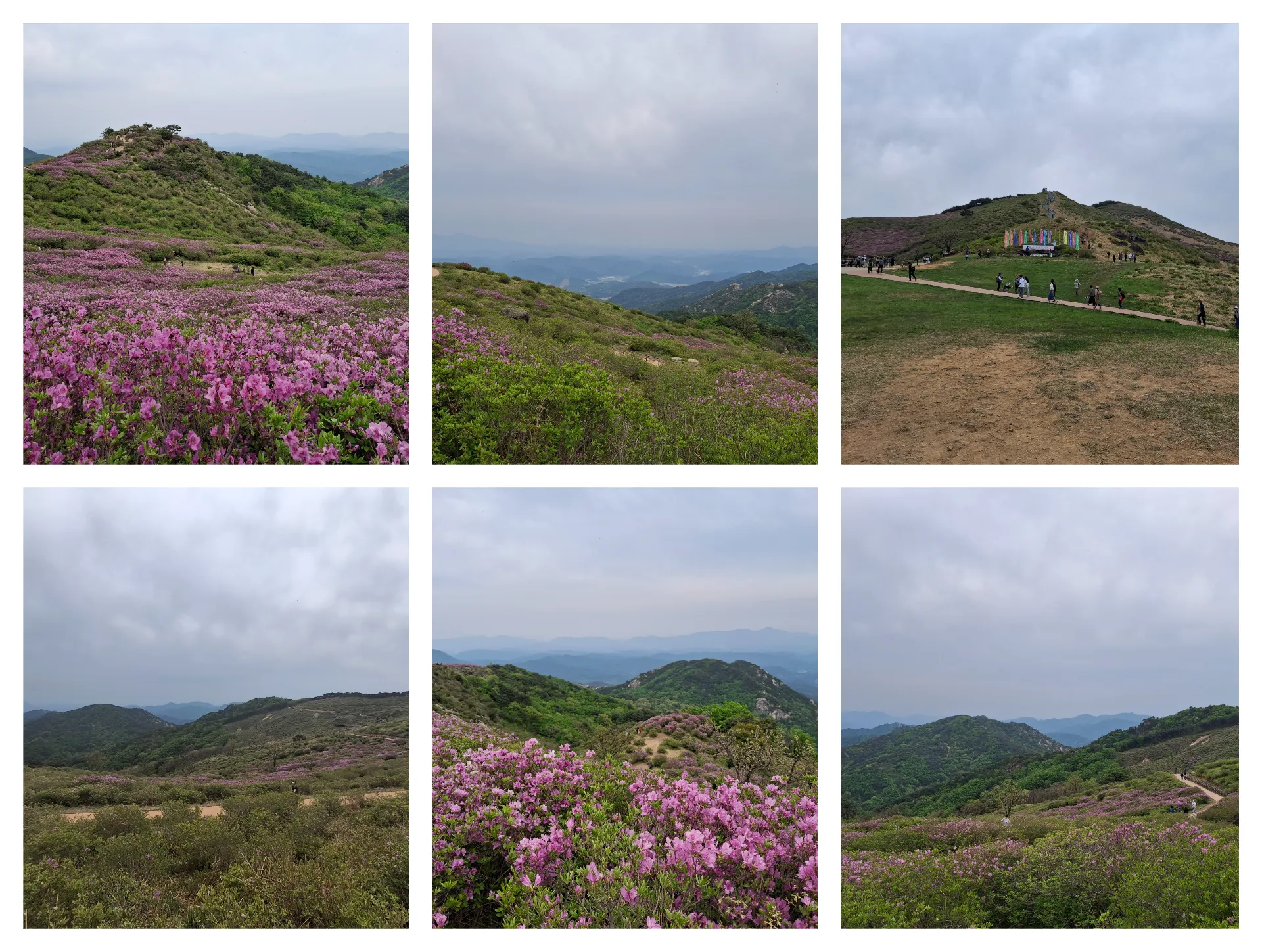 봄 황매산