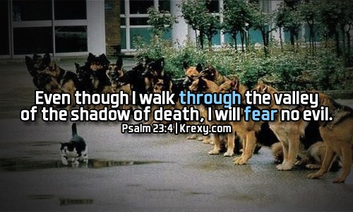 내가 사망의 음침한 골짜기로 다닐지라도 해를 두려워하지 않을 것은