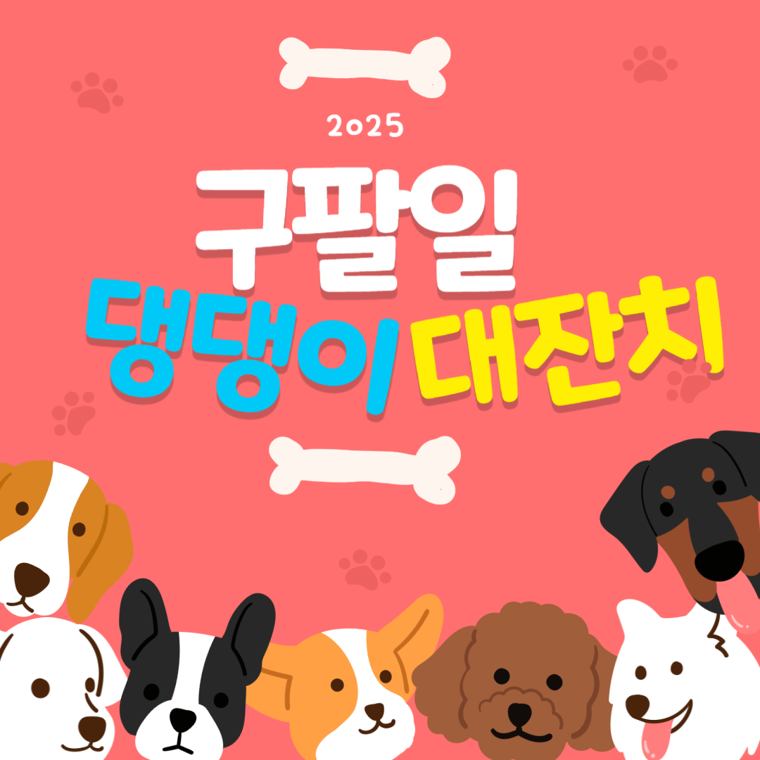 구팔일 댕댕이 대잔치 2025 애견 레이싱