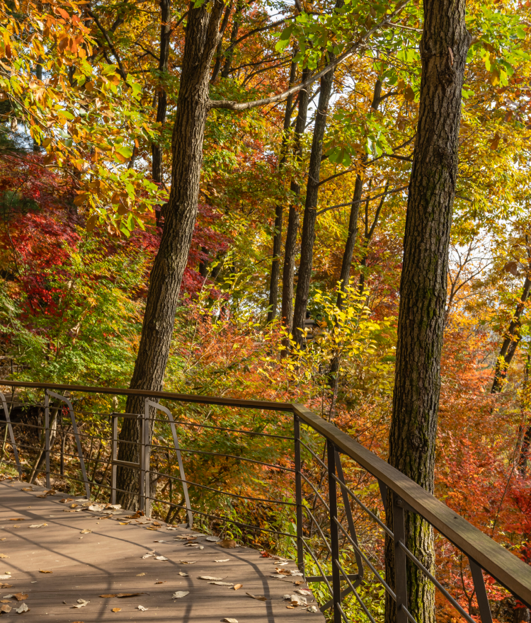 양치식물원 소개