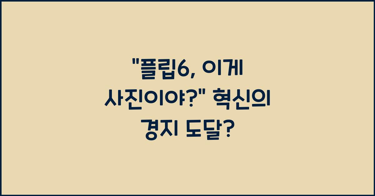 플립6